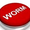 Worm